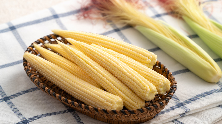 raw, fresh baby corn in the husk