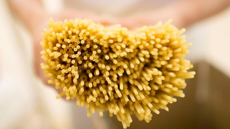 Person holding bucatini