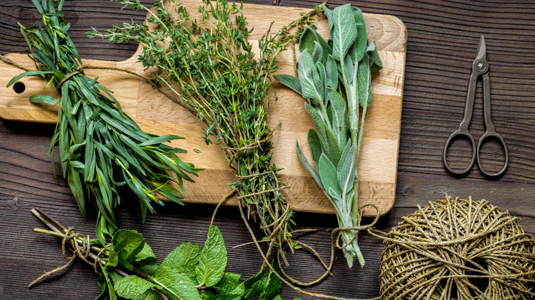Tying fresh herbs with twine