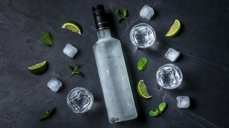 Chilled vodka bottle on table