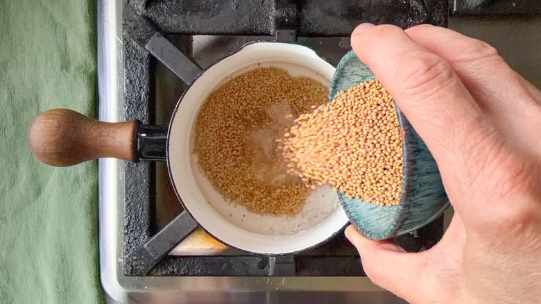 Adding mustard seeds to boiling water and vinegar in saucepan on stovetop