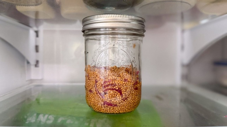 Pickled mustard seeds and red onions in glass jar in refrigerator