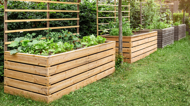 Raised garden beds with wood