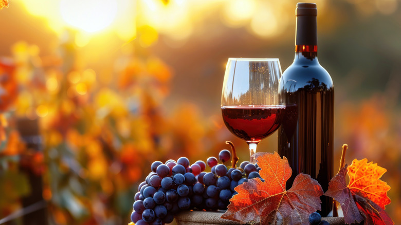 A bottle and glass of wine sitting with fresh grapes