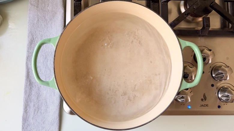 Large pot starting to boil on stovetop