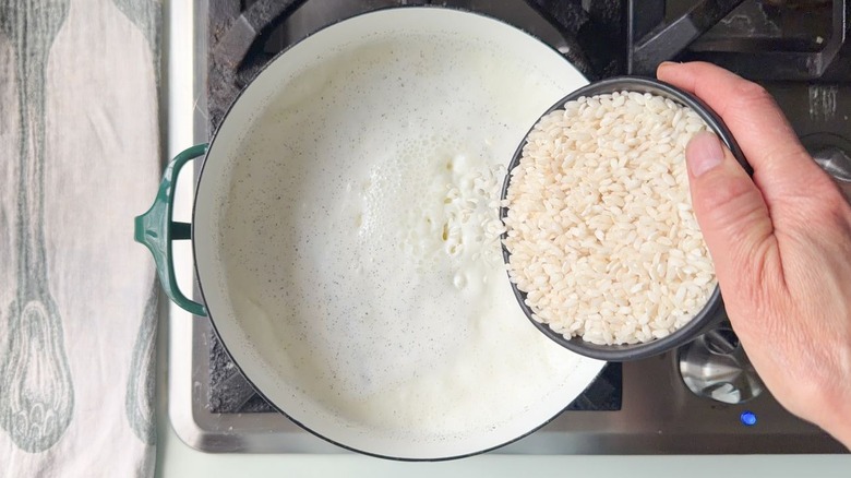 Adding rice to boiling milk with vanilla bean seeds in large saucepan on stovetop