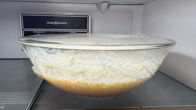 Cooked arborio rice in milk chilling in plastic-covered glass bowl in refrigerator