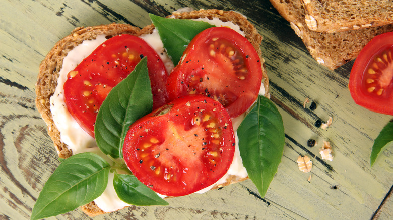 An open faced tomato sandwich