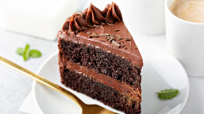 A big slice of two-layer chocolate cake on a white plate