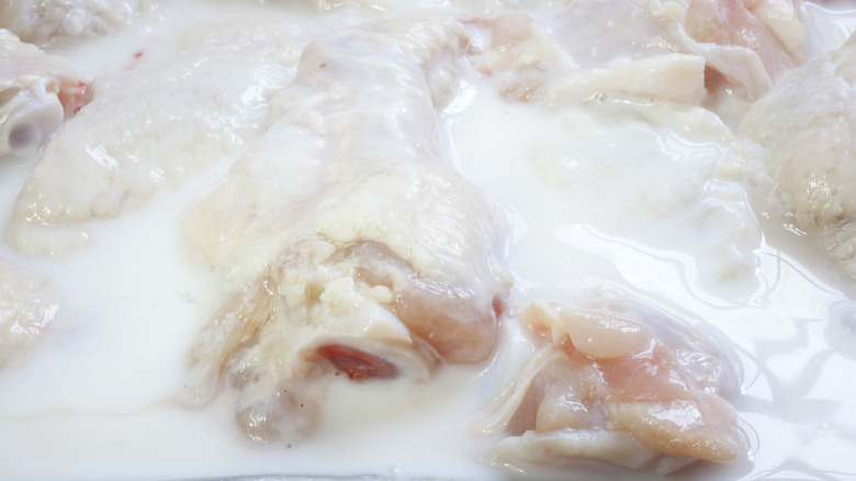 Chicken sitting in buttermilk