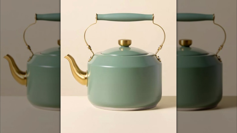 Coated Tea Kettle