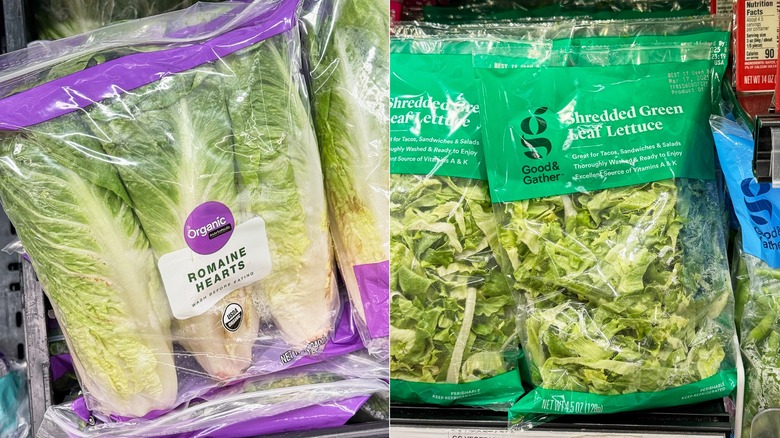 Bags of lettuce on shelves