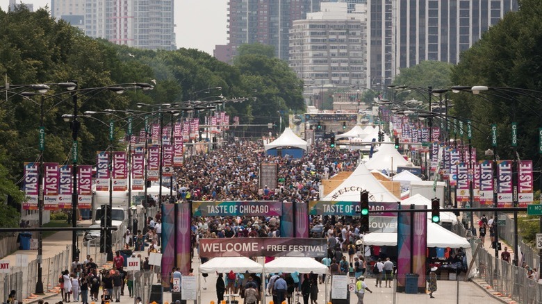 The entrance to The Taste of Chicago is seen packed with visitors on a summer day.