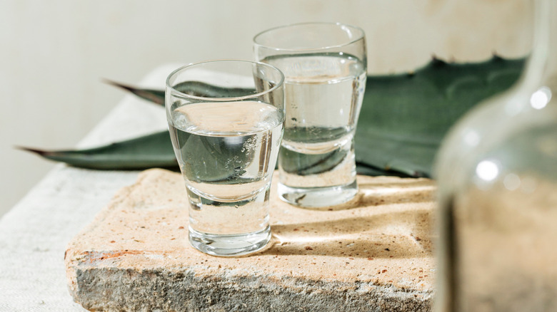Two small glasses of tequila on concrete slab