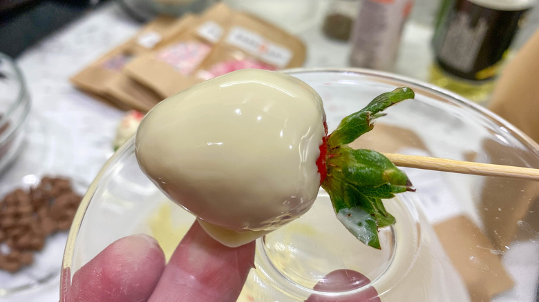Strawberry dipped in glossy tempered white chocolate