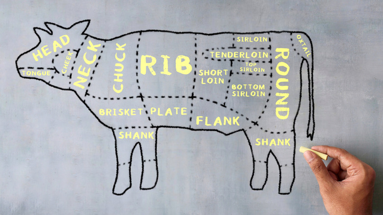 Butcher beef cuts diagram written in chalk