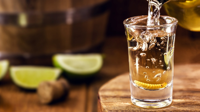 Tequila worm in mezcal glass