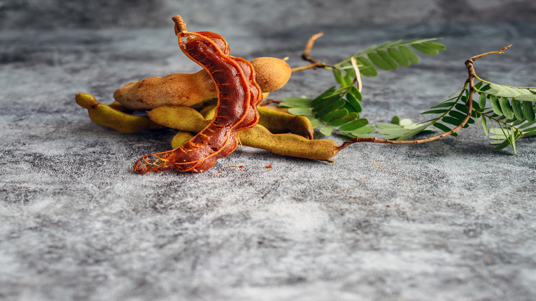 Ripe tamarind fruit
