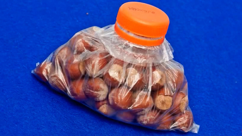 A bag of chestnuts sealed with a bottle cap