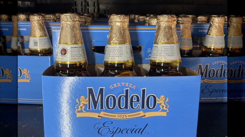 Bottles of Modelo in a refrigerator