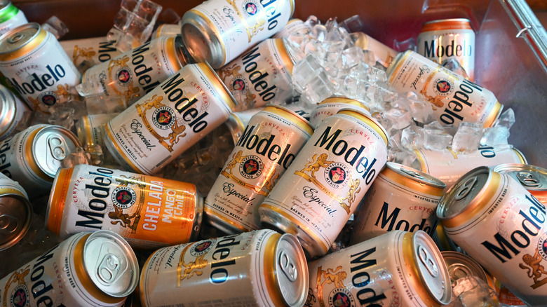 Cans of Modelo in a bucket of ice