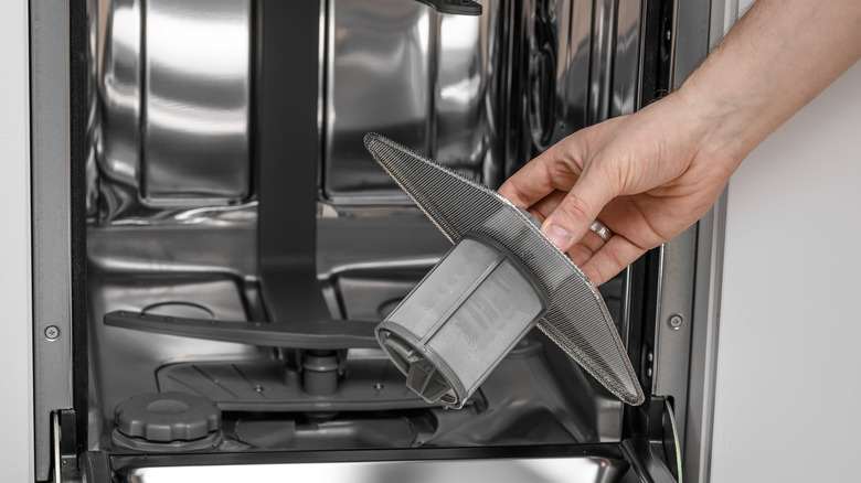 Person removing filter on dishwasher