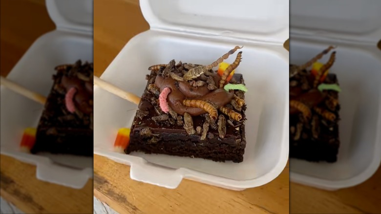 brownie on a stick with fudge and various insects on top of it