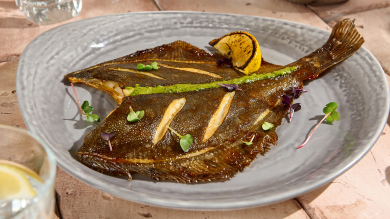 roasted flounder on gray plate