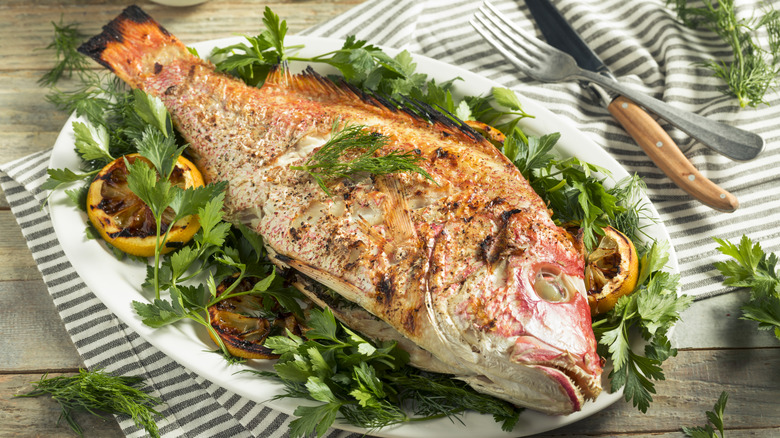 roasted red snapper with herbs