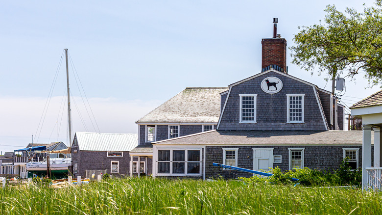 Exterior of The Black Dog Tavern with a sign depicting the logo