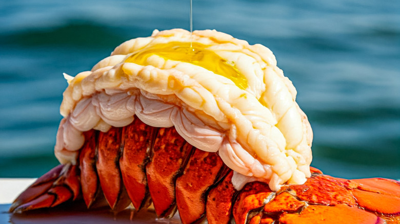 lobster tail with butter pooling on it
