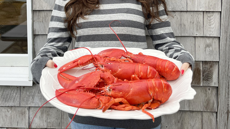 woman holding big platter of cooked Maine lobsters