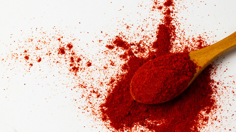 Smoked paprika on a spoon