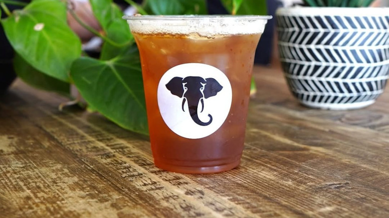 A plastic takeaway cup of iced coffee from Black Elephant on table in front of a plant
