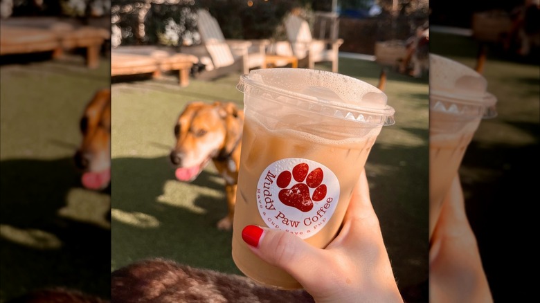 Coffee drink in plastic cup with dog in background