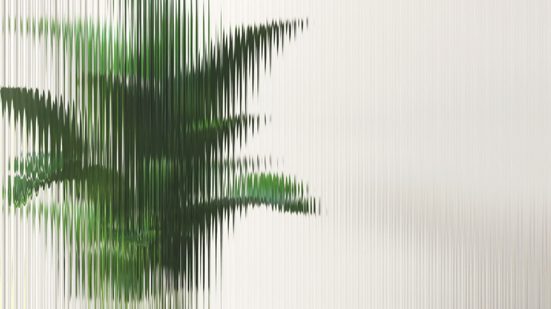 Fluted glass in front of a plant