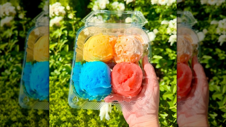 A four-scoop sampler of Handel's ice cream