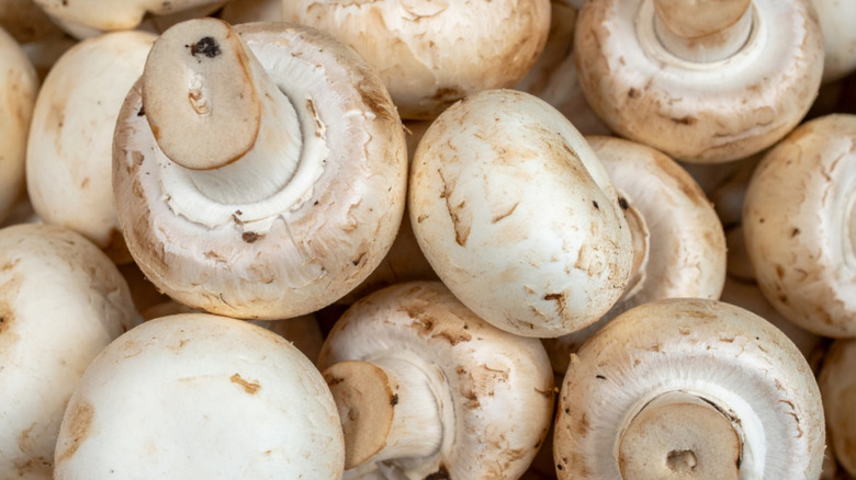Close-up of cremini mushrooms