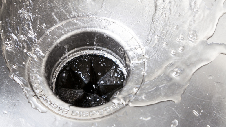 Water flowing down a stainless steel sink into a garbage disposal