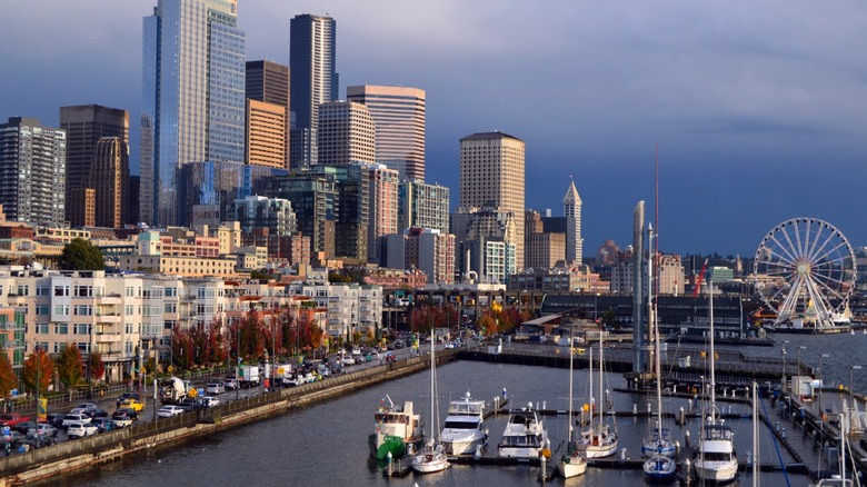 Boats docked in a marina along Elliot Bay with downtown Seattle and Pioneer Square behind them.