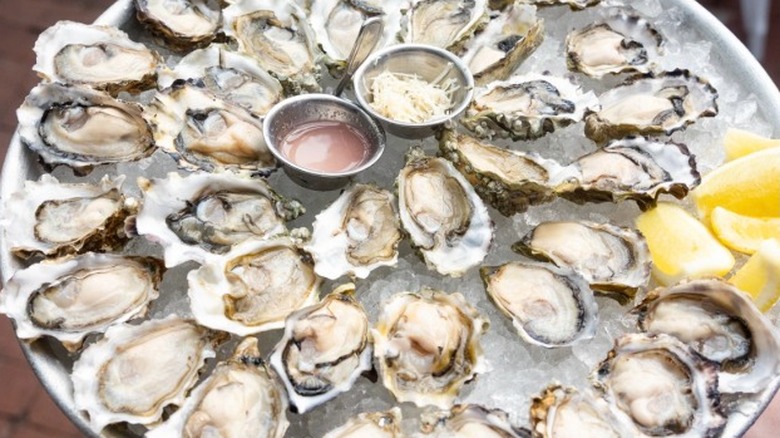 A large plate of oysters on the half shell served with lemon at the Walrus and the Carpenter in Seattle.