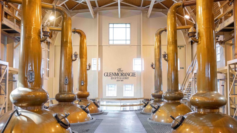 Glenmorangie distillery's famously tall copper stills