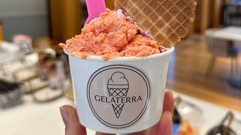 A scoop of mauve gelato in a white cup.