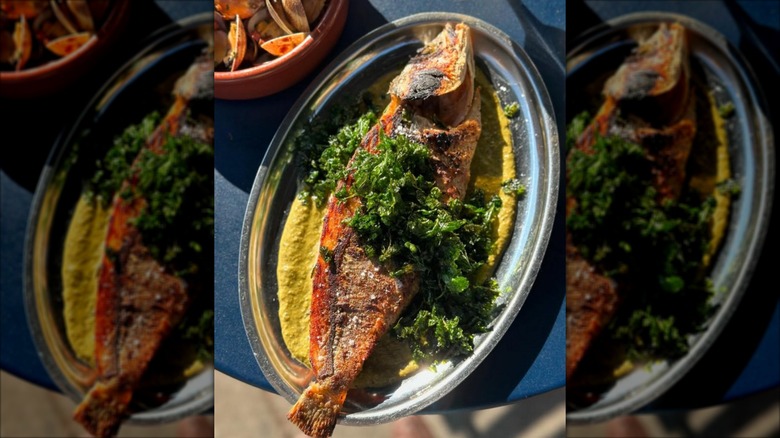 Crudo and white wine on a table at Barra Santos