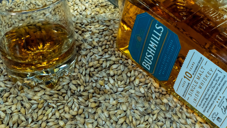 Bottle of Bushmills, glass, and grains