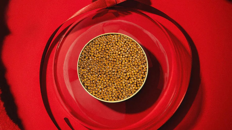 An open tin of Royal Osetra Petrossian caviar on a brilliant red background