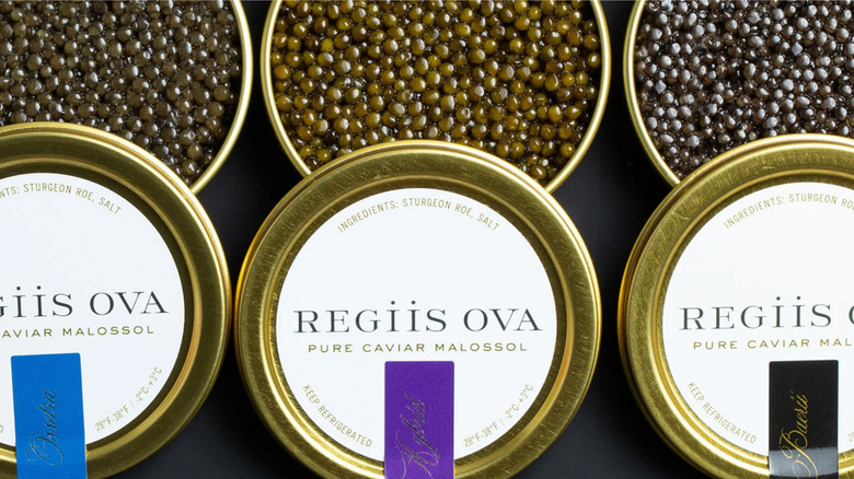 Three tins of Regiis Ova caviar with the lids partially removed
