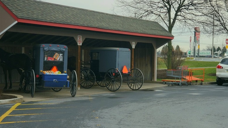 Horse and buggy parking at Costco in Lancaster, Pennsylvania