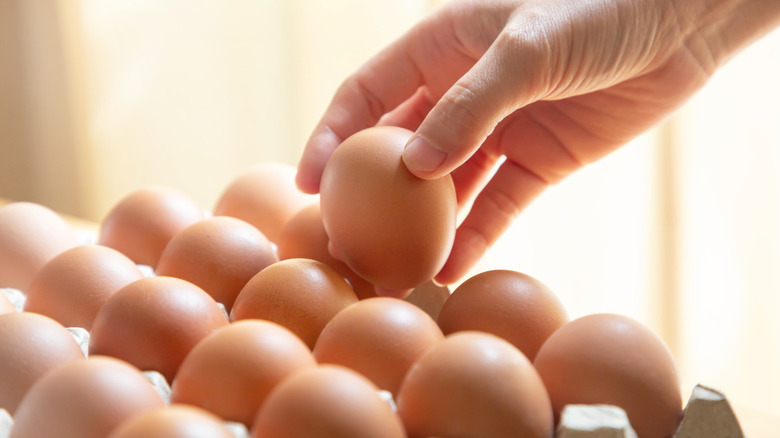 Hand picking up eggs in carton