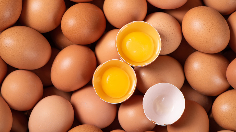 Opened egg shell on top of eggs